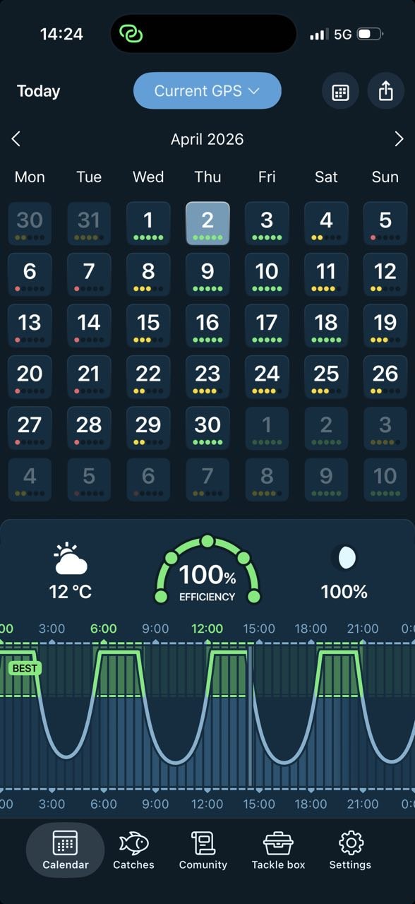 Calendar home screen